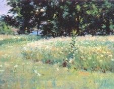 wendel gloucester, field of daisies 1892-6. 
