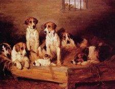 Foxhounds and terriers in a Kennel. , 