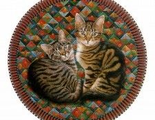 kb Ivory 01. ������, ����� ���