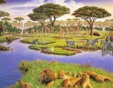 kb Bragg CL African Watering Hole. ,  