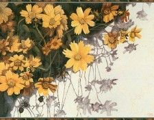 cr JanetSBrown-Coreoptical. �����, ������ S