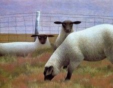 Alex Colville - Three Sheep, De. �������, �����