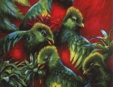 kb Hulbert Laura-Quetzel Quintessence. , 