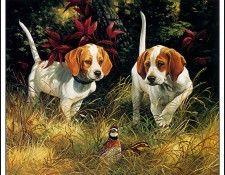 bs-na- Linda Picken- Beginners Luck. , 