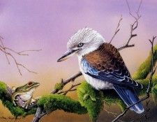 kb Shepherd Eric 04 Blue Winged Kookaburra. , 