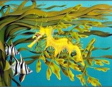pa KevinStead 10 LeafySeadragon. , 