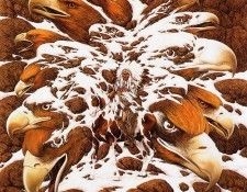 lrsDoolittleBev-ManyEagles. , 