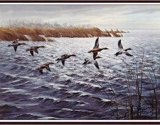 bs-na- Maynard Reece- Against The Wind- Canvasbacks. ���, �������