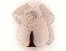 16753. ����, �������