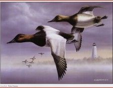 HautmanRobert Canvas Backs We@ISC. Hautman ������