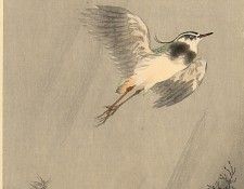 pic02197. �����