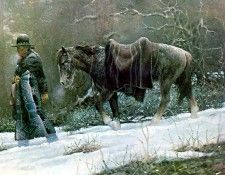 abeita csg064 seen warmer days. ��������, ����