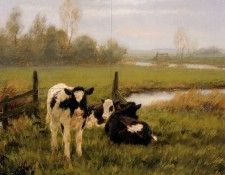 Engel Freek Young cattle Sun. Engel, ����