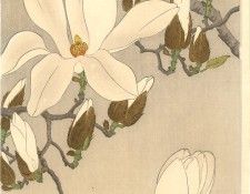 pic09273. ����, ���� �����