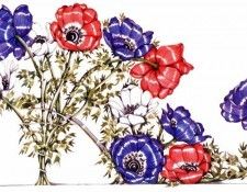 Dennis Kyte - Anenome (II), De. , 