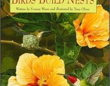 pa TonyOliver BirdsBuildNests 00 Cover. , 