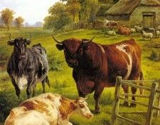 Jones Charles A Pedigree Bull. �����, ������