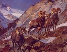 lrs Rungius Carl Amongthe Crags. Rungius, ����
