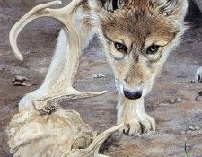 kb Estes Trudy-Puppy Love. , 