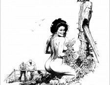 QMan AS Vis 2258 Queen of Roses. , 