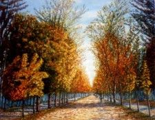 36282. ����������, ��������� Sadornil