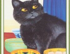 CookBeryl i07 Miro-WeaSDC. , Beryl
