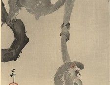 pic09322. �����