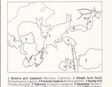 Oz AGls106 Tony Oliver Western Grey Kangaroo Key. ������, ����