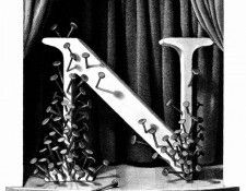 Z 014 The N was Nailed and Nailed Again ChrisVanAllsburg sqs. Allsburg, ���� ���