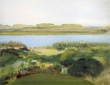 art 316. Freilicher, 