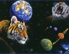 am Heritage. Schimmel, ������