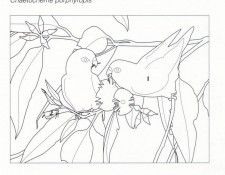 Oz AGls022 Ego Guiotto Varied Lorikeet Painting Key. Guiotto, 