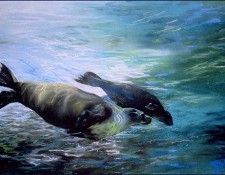 bs-na- Diana E Smith- Waterplay. ����, ����� E