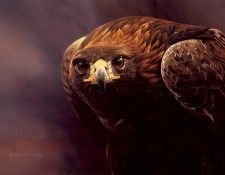 lrs Hunt Alan Magnificent. ����, ���� M