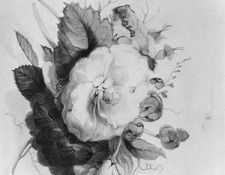 28652. ���������, ������