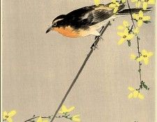 pic02239. �����