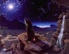 lrs Shelton Doug Nocturnal Movemts. ������, ���