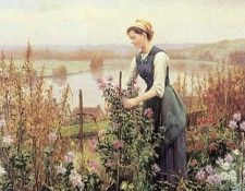 knight3. ������, �����