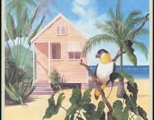 WoodWilliam 22 ParrotBeach-We. ���, ������