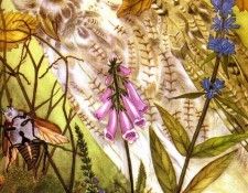 48587. �����, Adrienne