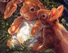 Donna Green - The Velveteen Rabbit 11, De. , 