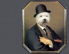 dog portraits csg048 wally bean. , 