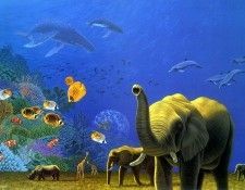 Between Two Worlds 2. Schimmel, ������