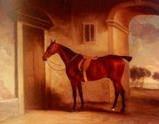 Ferneley John A Saddled Bay Hunter In A Stableyard. Ferneley, ����