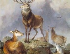 landseer4.   