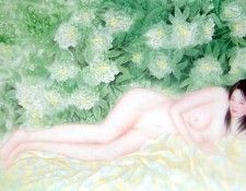 Shen Mei 5a1015. ���, ���