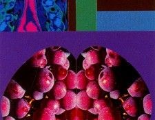 46297. Cillero, ������