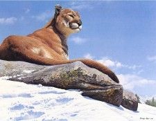 JohnSeerey-Lester AboveTheTreeLine Cougar ec. Seerey-������� ����