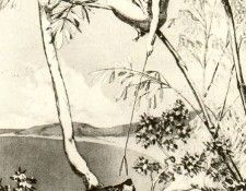 18404. , 