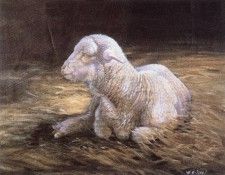 kb Noel Nancy-Agneau. , 